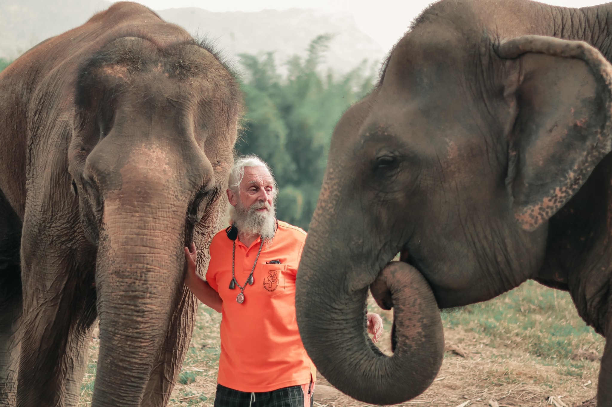 Offrir une belle fin de vie à des éléphants