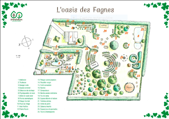 La foret vivante
