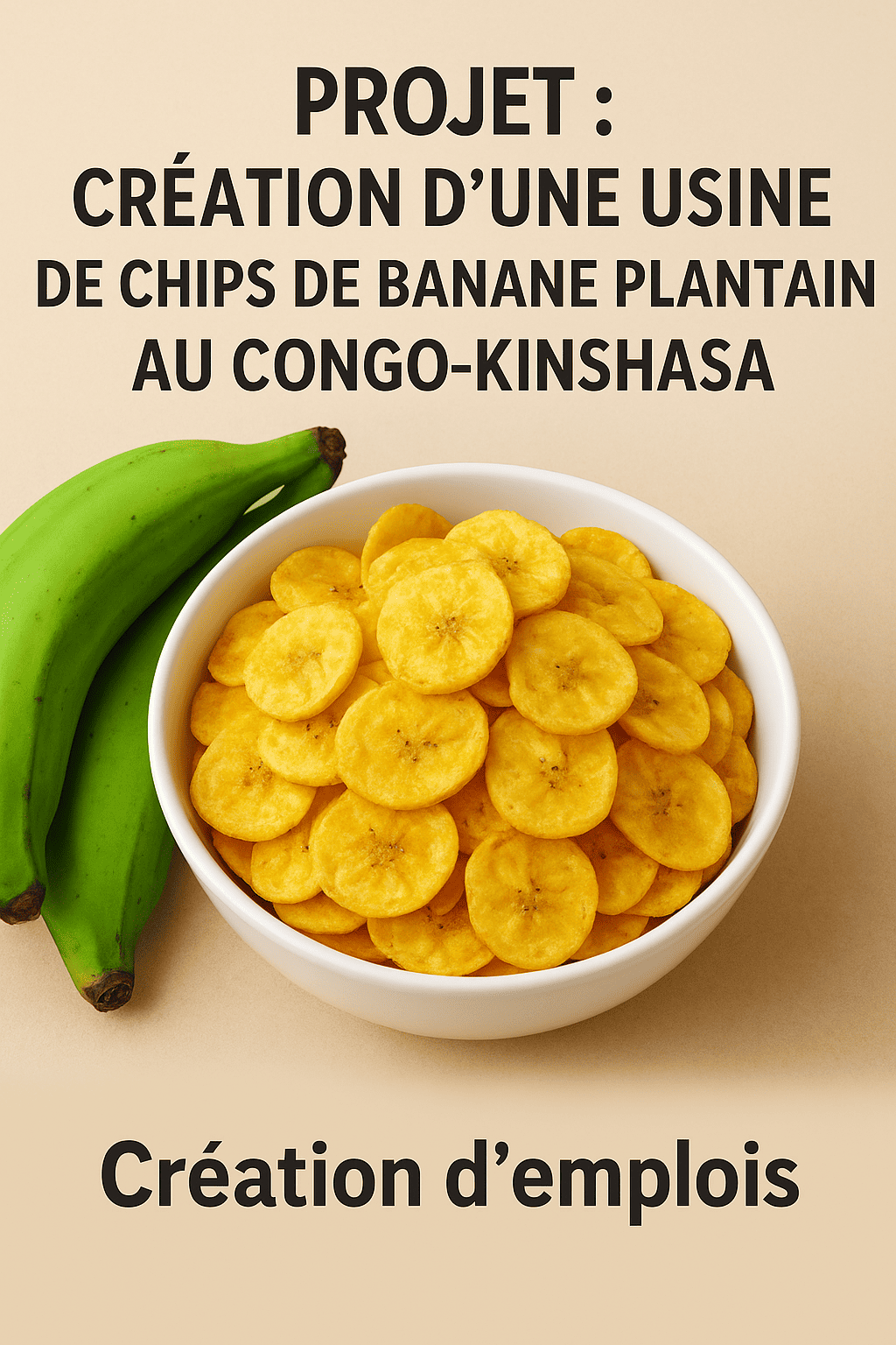 Projet de création d’une usine de chips de banane plantain au Congo-Kinshasa