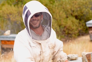 Projet Apicole – Sauvons les abeilles