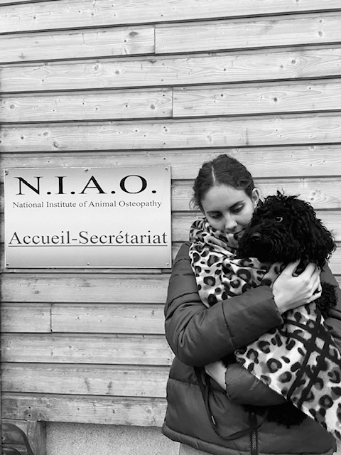 Financer mes études en école privée d'ostéopathie animale