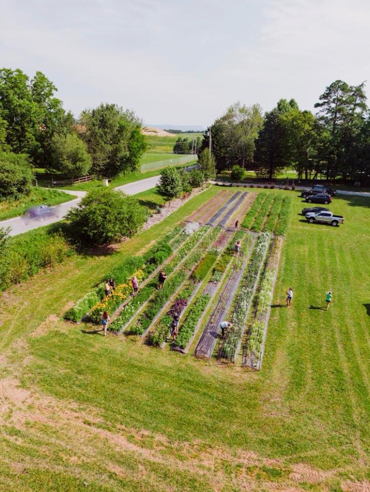 Création de jardins partagés
