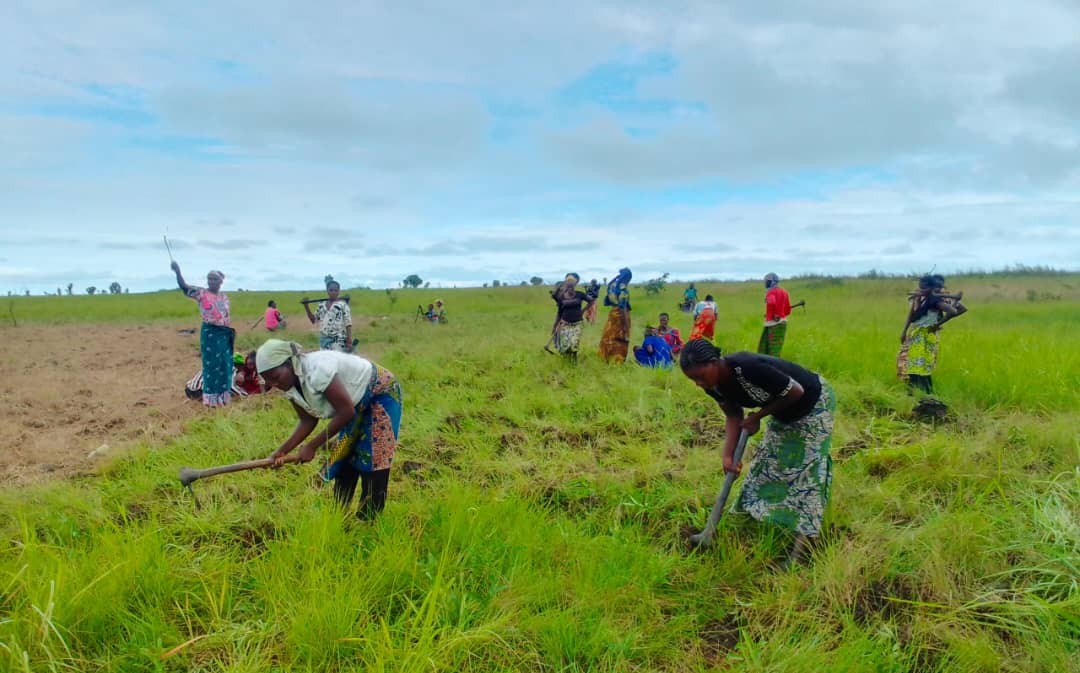 Développer l’Agriculture Alimentaire en Afrique  pour Améliorer le Confort et l’Autonomie des Africains