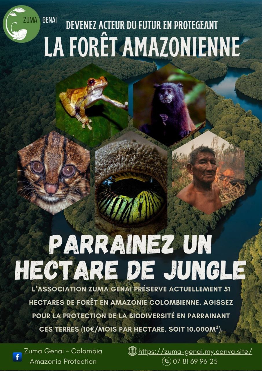 Sauvegarder la forêt amazonienne en Colombie